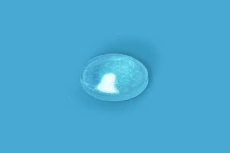 6.4mm x 1.6mm Hemisphercial Glass Table Top Bumpers, Non-Slip Pads I Pad 578 PCS