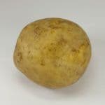 Potato on a plain background
