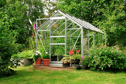 Greenhouse surrounded by vibrant plants