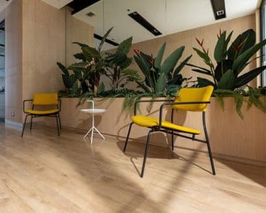 Modern interior with yellow chairs, a small table, and lush greenery, featuring custom glass elements and mirrors for style and functionality.