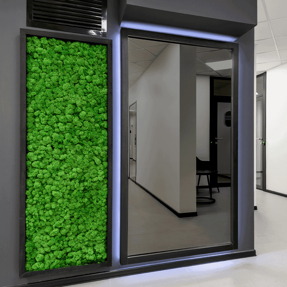 Modern interior showcasing custom glass mirrors alongside a vibrant green moss wall, highlighting the elegance of tempered glass and innovative design.