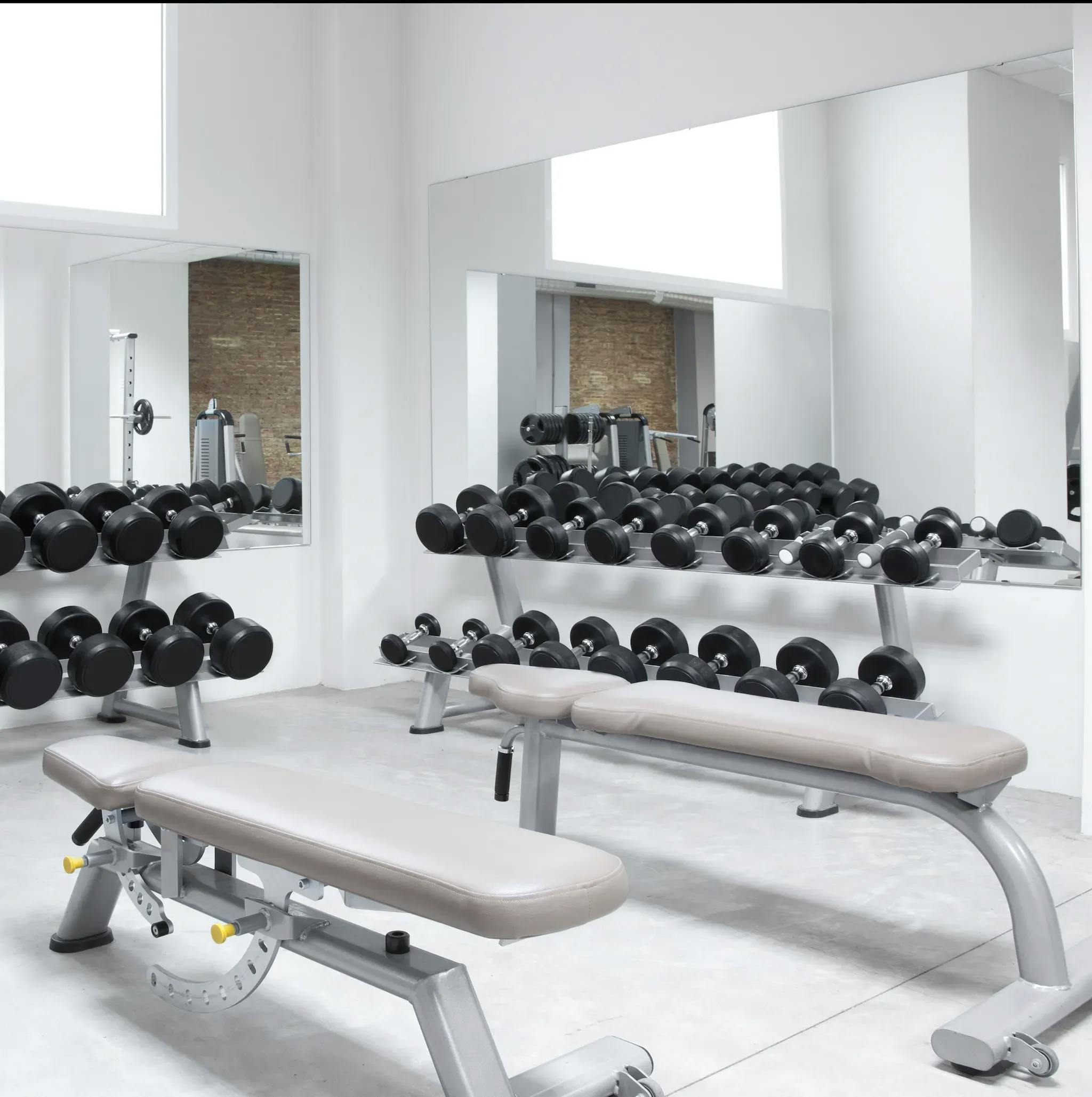 Modern gym setting with two grey benches and two gym mirrors, each facing rows of weightlifting equipment