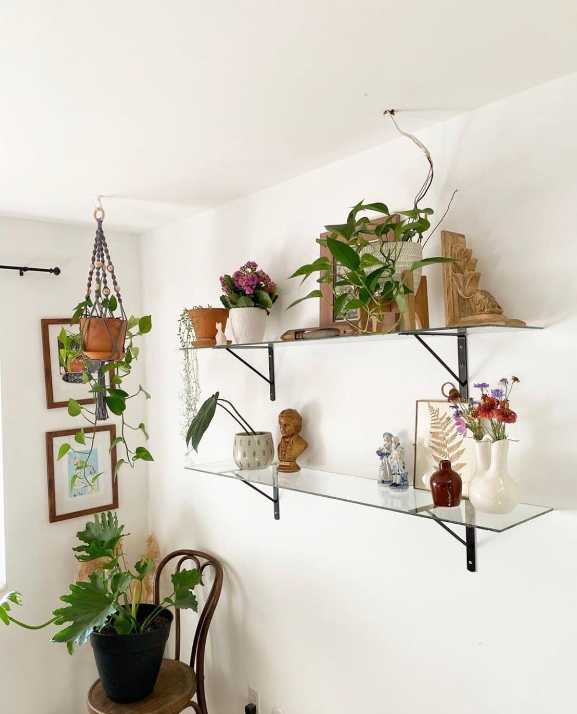 Custom glass shelves displaying plants and decorative items, featuring tempered glass with a sleek, modern design.