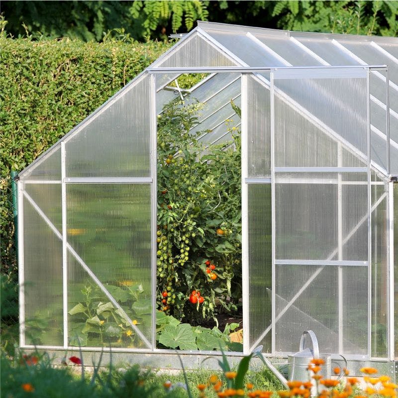 A greenhouse made out of plexiglass, allowing ample sunlight to nourish the plants within
