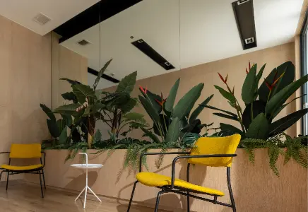 Modern interior featuring custom glass mirrors, vibrant plants, and stylish yellow chairs, highlighting design elements suitable for shower doors, table tops, and glass finishes.