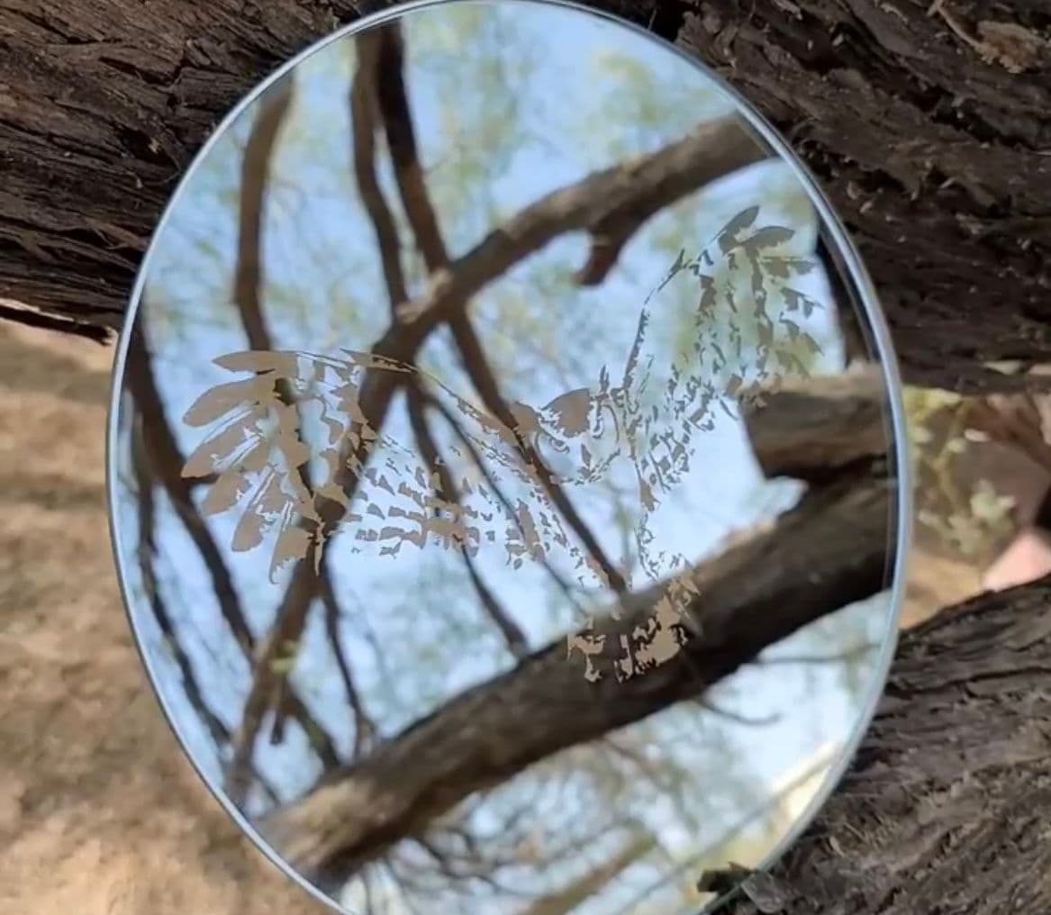 Custom beveled glass mirror featuring an engraved owl design, reflecting nature, perfect for decorative applications in homes and businesses.