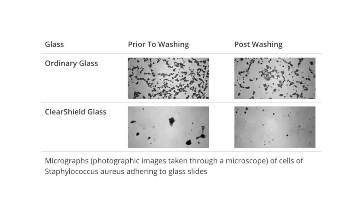 Micrographs comparing ordinary glass and ClearShield glass before and after washing, highlighting the cleanliness and effectiveness of custom glass solutions for shower doors, table tops, and mirrors.