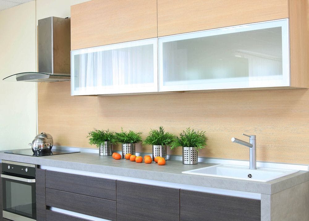 Frosted Glass Cabinet Covers in a modern kitchen with wood paneling on the wall and grey granite. there are 4 plants sitting on the grey granite with 9 oranges placed randomly in front of them.