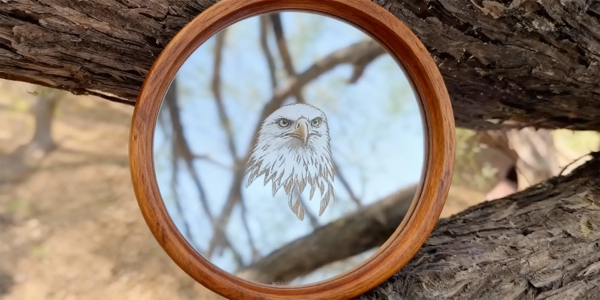 A close-up of a DIY round, wood-framed mirror with a custom etching of an eagle's head, placed against a tree branch.